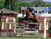 Leonardi Lasciva Giovanili2013  S5 4425 : Arezzo Equestrian Centre, Lasciva del Terriccio, Leonardi Matteo, foto di Stefano Secchi ©. Campionati Italiani Giovanili 2013